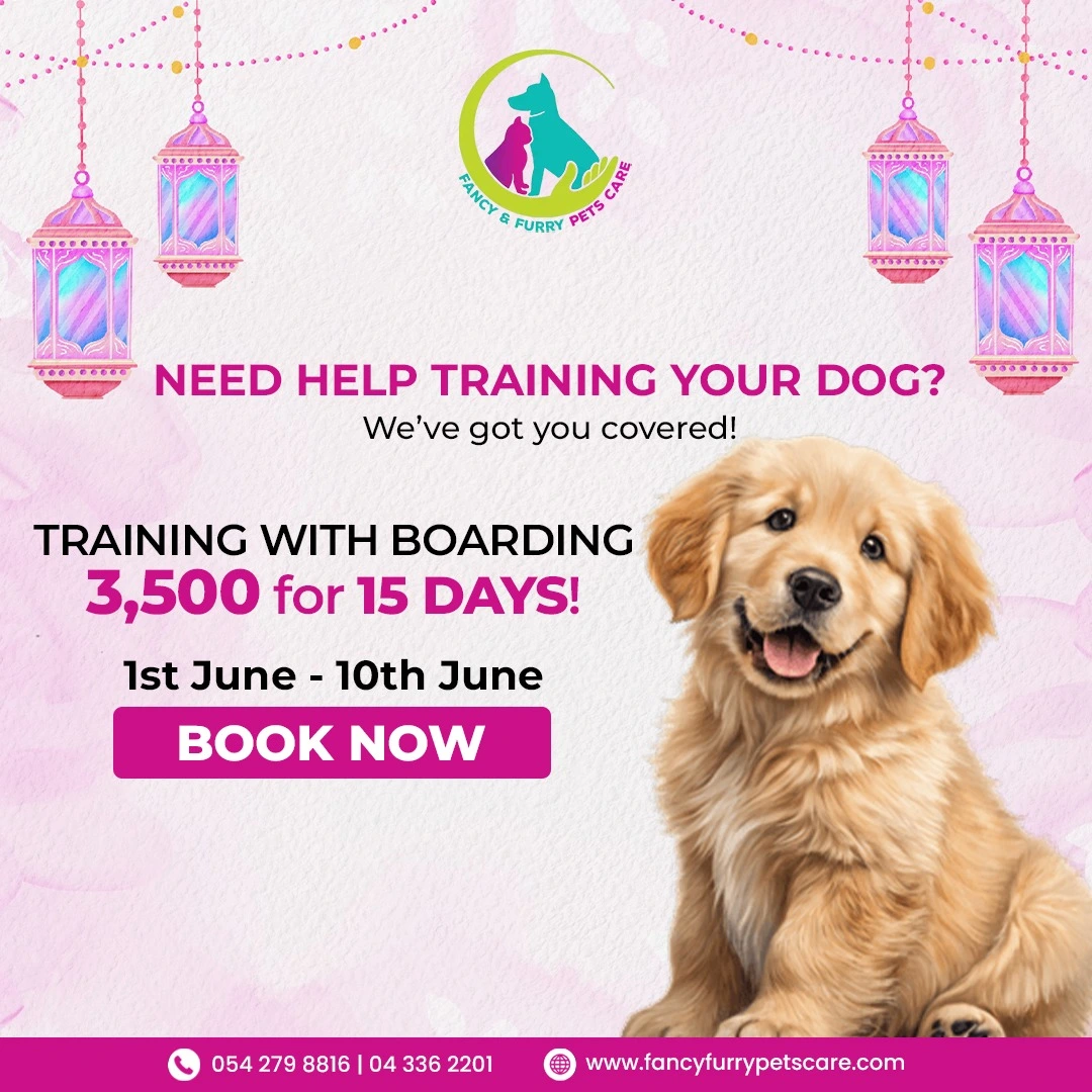Popup Banner