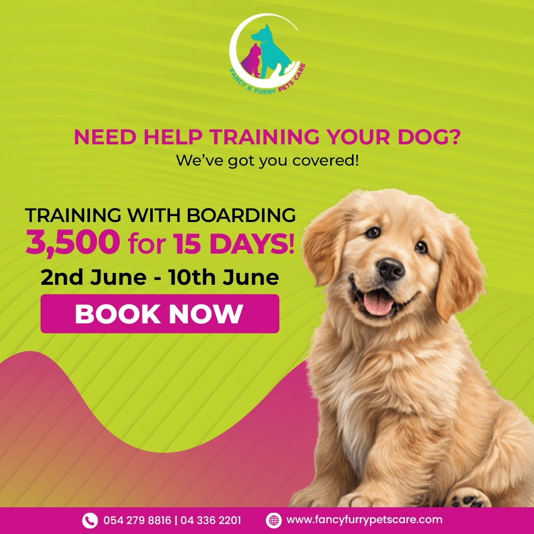 Popup Banner