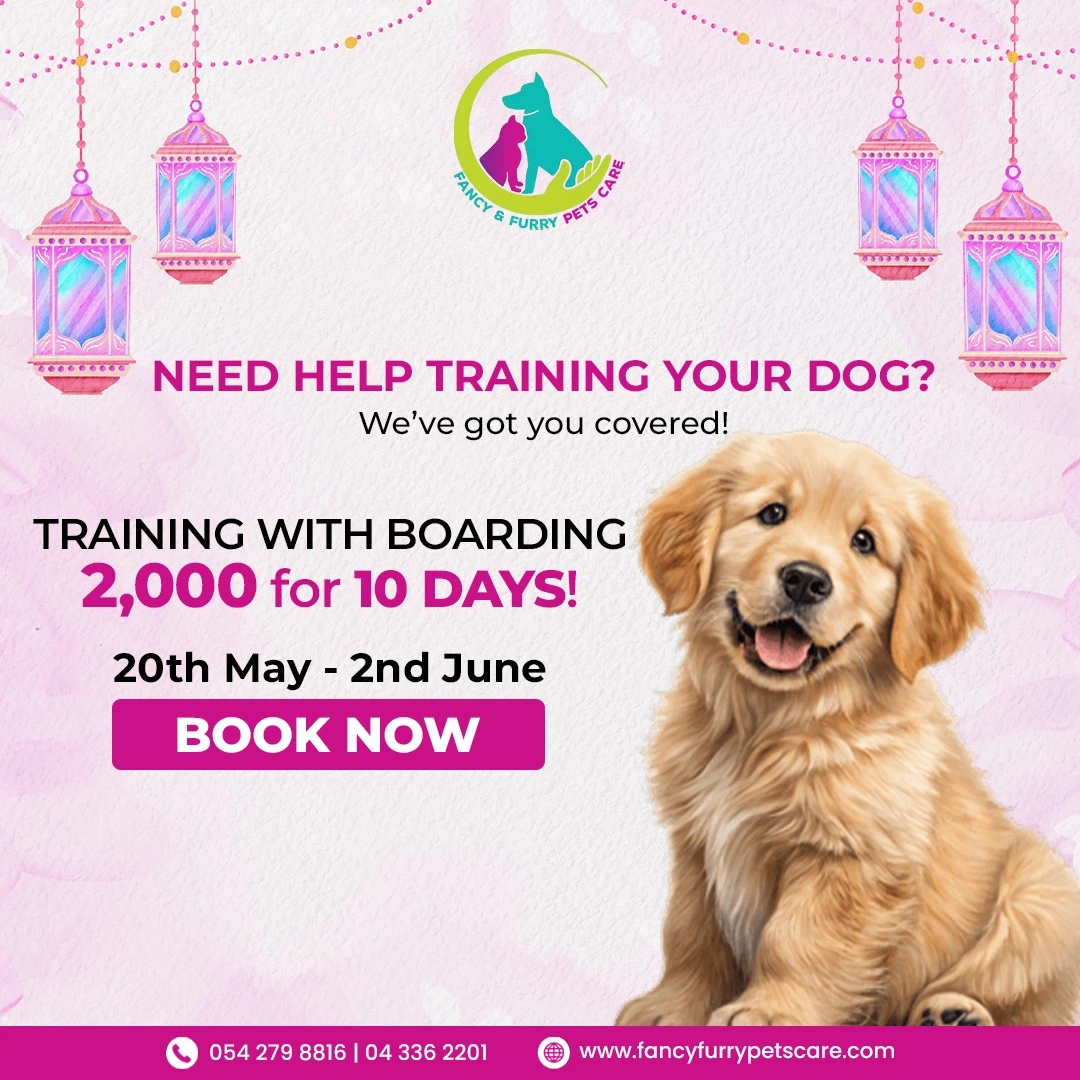 Popup Banner