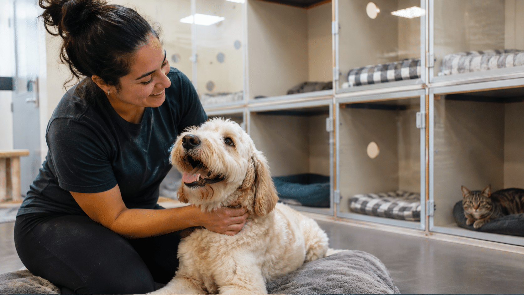 Before and After Grooming: How grooming improves your dog’s health 1 Pet Boarding