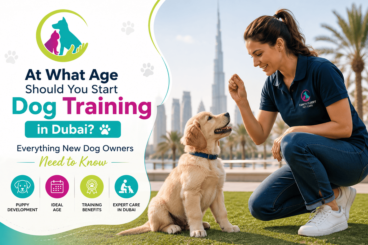 dog training in Dubai